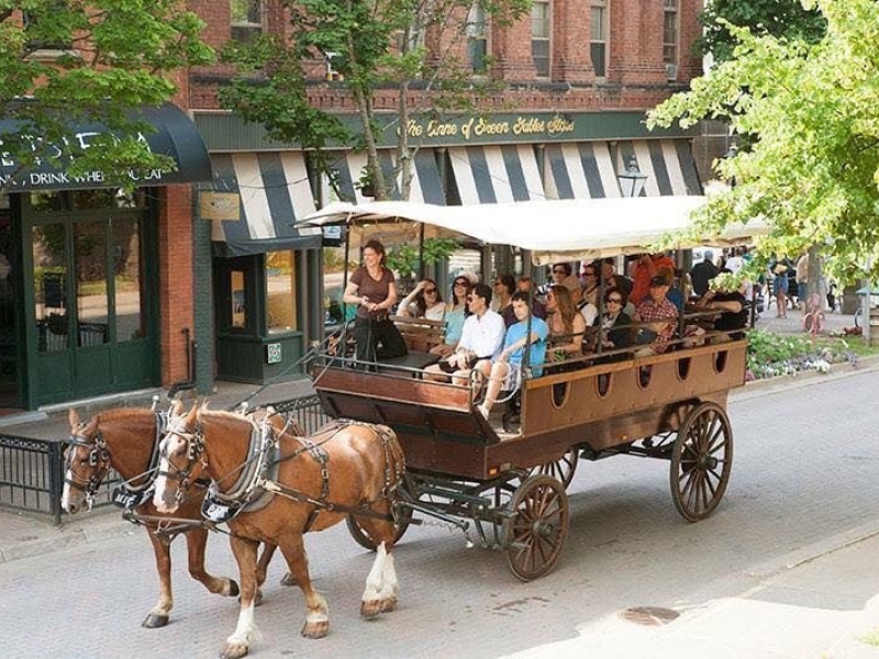 Horse and carriage tour with a wagon full of people touring downtown Charlottetown