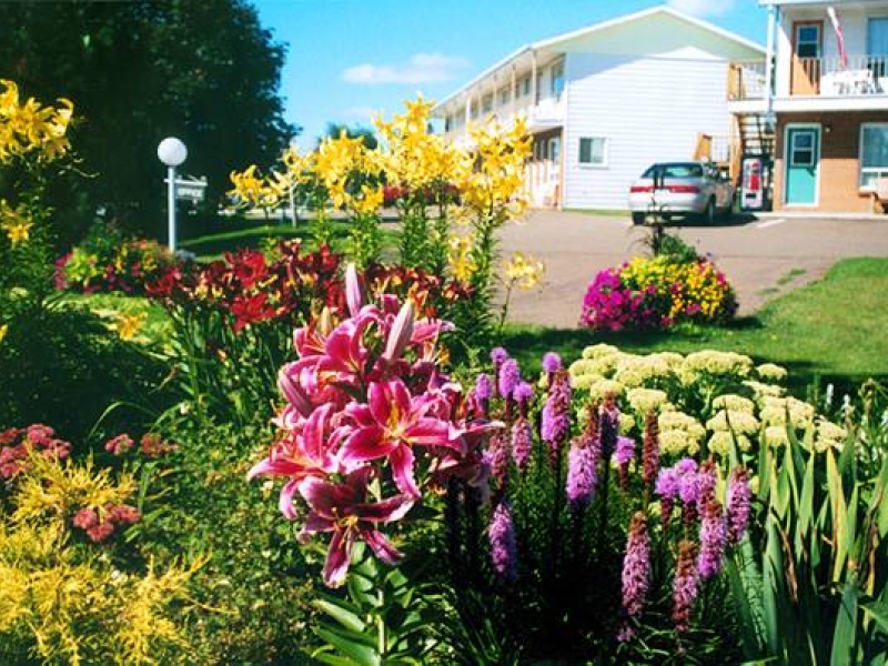 Outdoor grounds of Fair Isle Motel, flowers and lawn in front of two storey accommodations