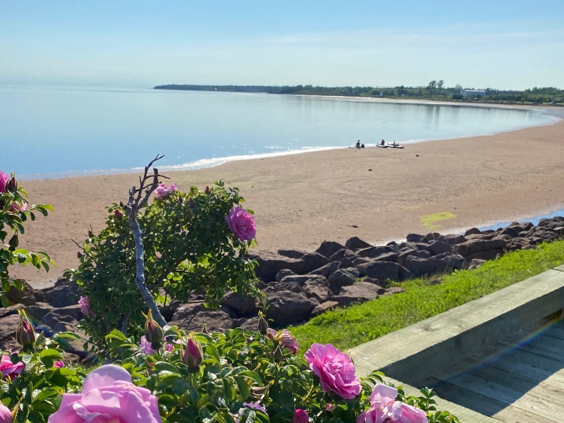 Summer shot at Green's Shore beach, Summerside