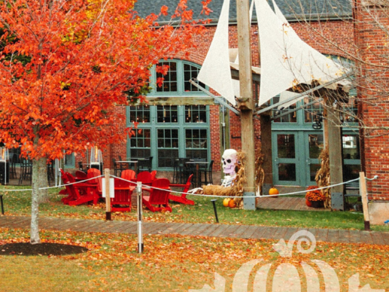 Harvest decor outdoors at Founders' Hall