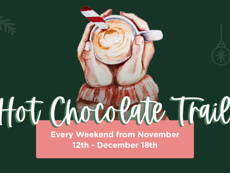 Graphic of hands holding bup with text "Hot Chocolate Trail - Every weekend from November 12 to December 18: