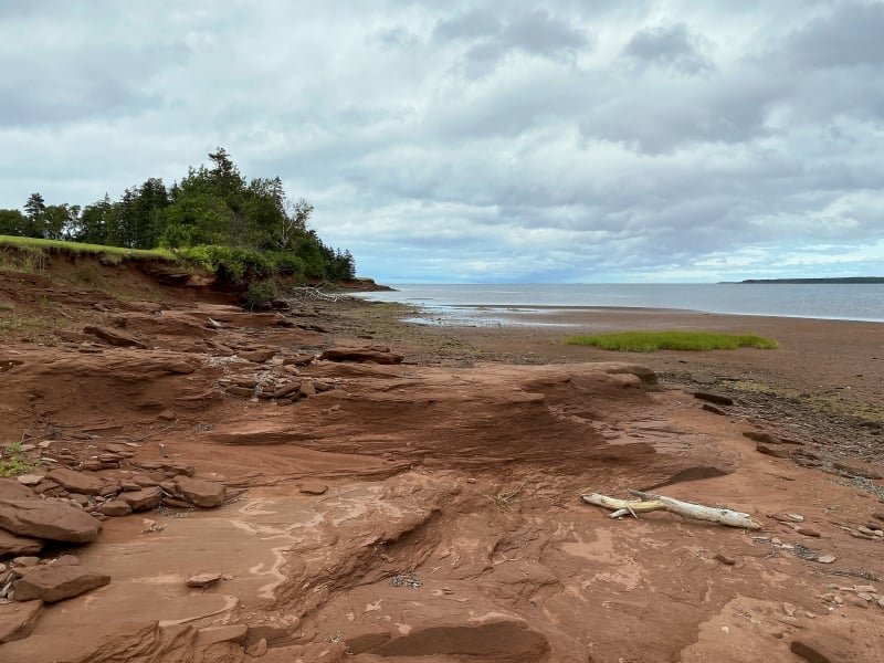 Image of beach and shoreline of Belmont Provincial Park