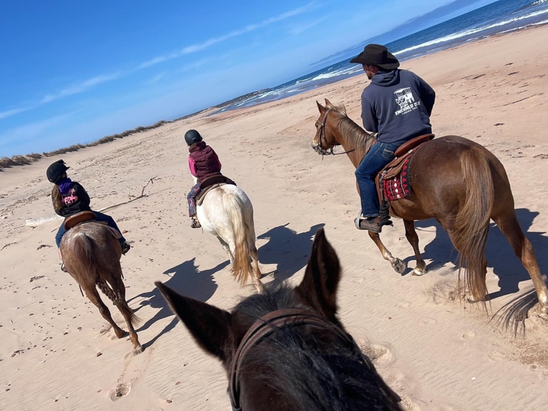 A group of horseback riders doing a trail ride on Lakeside Beach