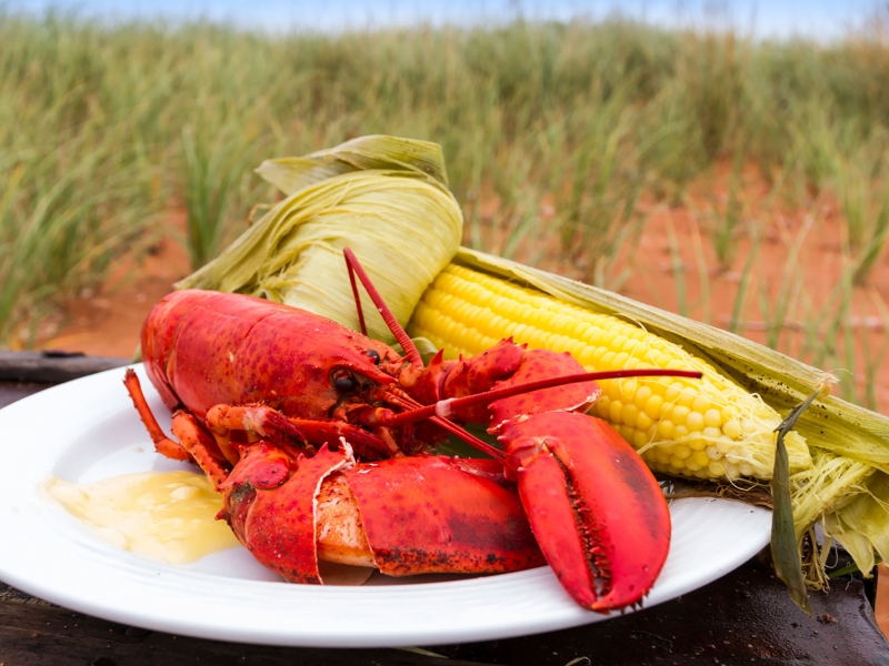 Lobster and corn