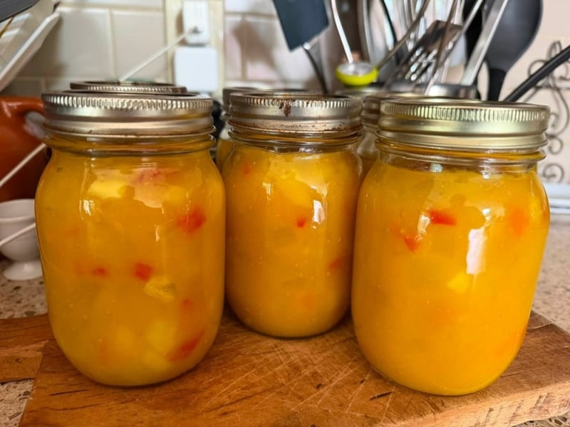 Six jars of mustard pickles sit on kitchen counter
