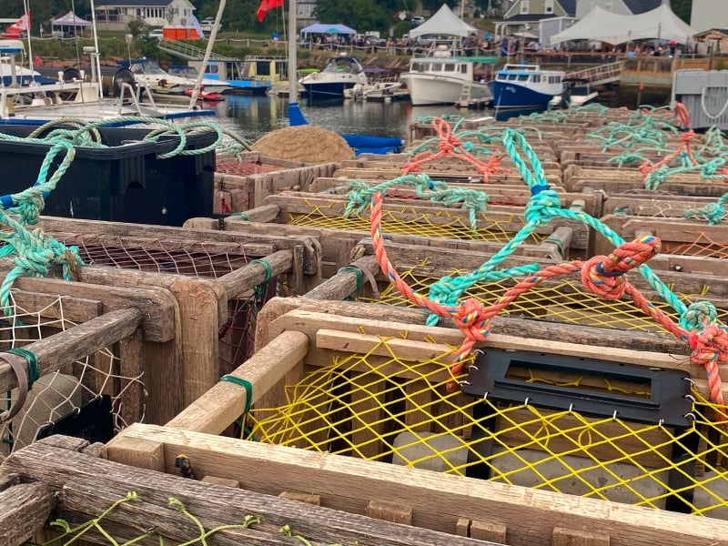 Lobster traps with view of harbour and Nellie's Landing in background, Murray Harbour, PEI