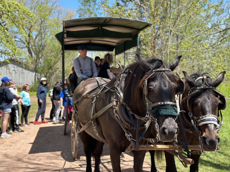 Horse and wagon ride at Orwell Corner Historic Village