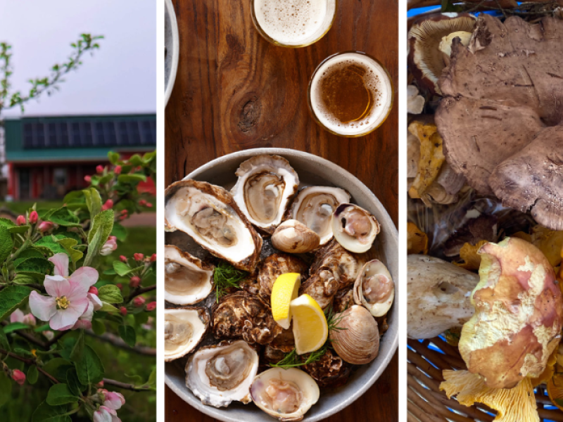 Apple orchard, oysters and gin 