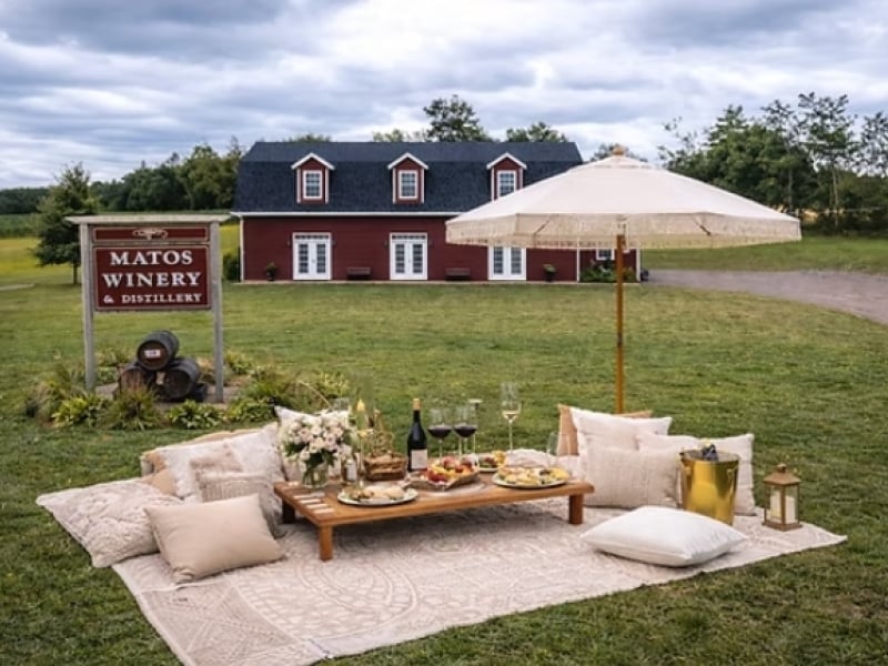 Elevated picnic on grounds in front of Matos Winery