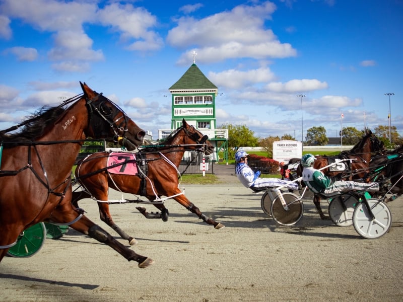 Harness racing at Red Shores Racetrack with judges stand in background