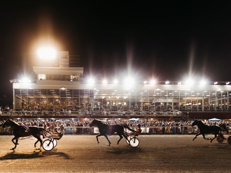 Harness racing under the lights at Red Shore Charlottetown Driving Park