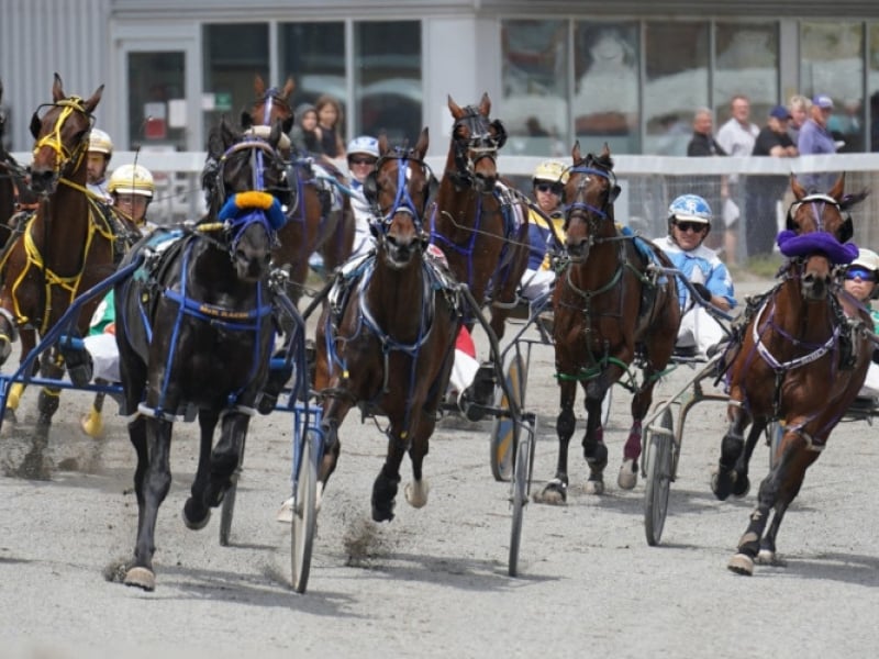 Harness racing on the track at Red Shores at the Charlottetown Driving Park
