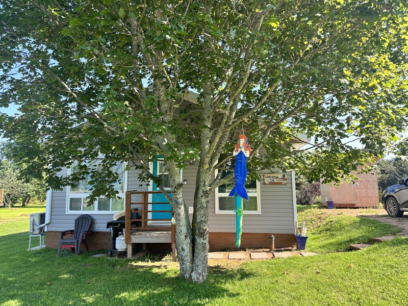 Small cottage with colourful Teal painted door and a large tree right in front.