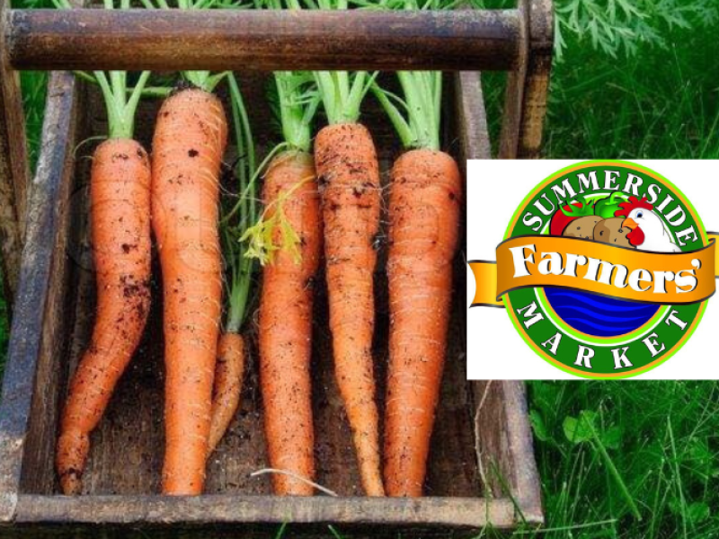 Basket of carrots on green grass with Summerside Farmers Market logo