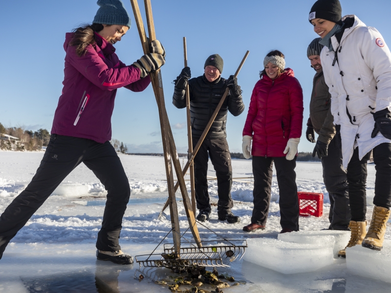 Group of five ice fishing for oysters on PEI