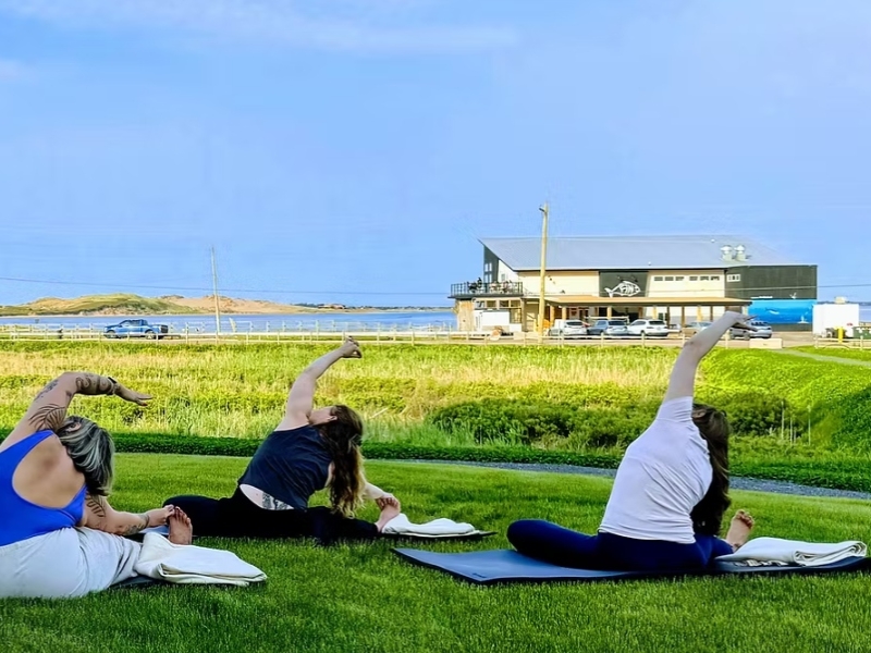 Outdoor yoga class overlooking the beach at the Space at Blackbush, Blackbush Beach Resort 