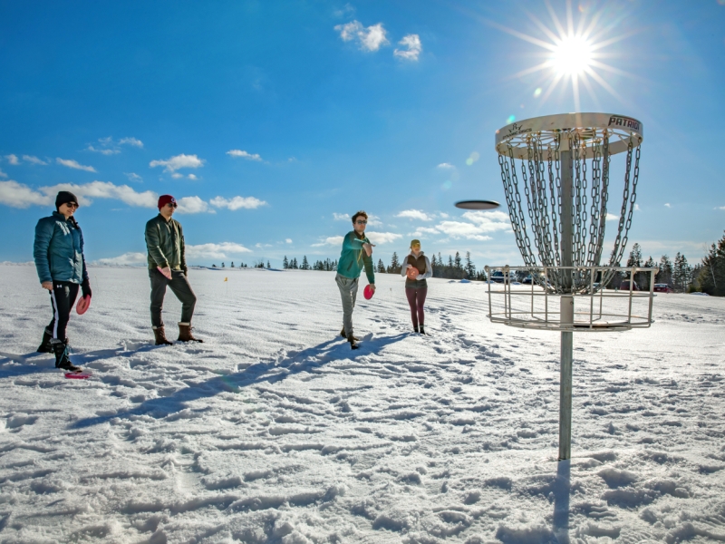 Group of four playing disc golf in winter under sunny skies