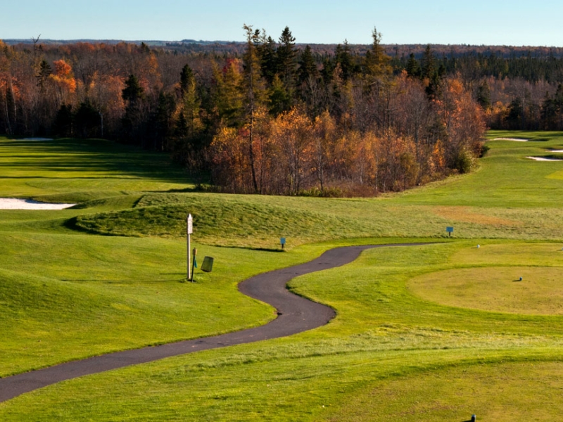 Fall picture of the greens and sandtraps with trees in background at the Avondale golf course