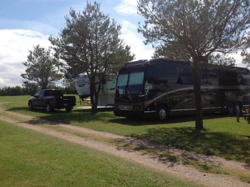picture of campsites, with trees and two large Rv's