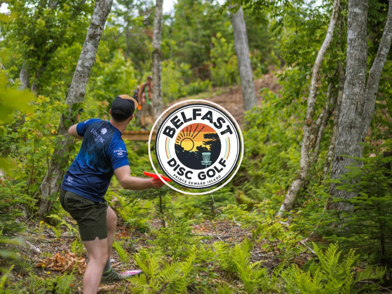 Image of players ready to throw disc on wooded hole at Belfast Disc Golf