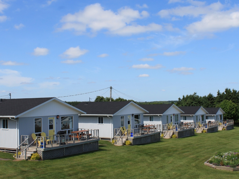 five cottages in a row situate on the property of Cavendish Bosom Buddies