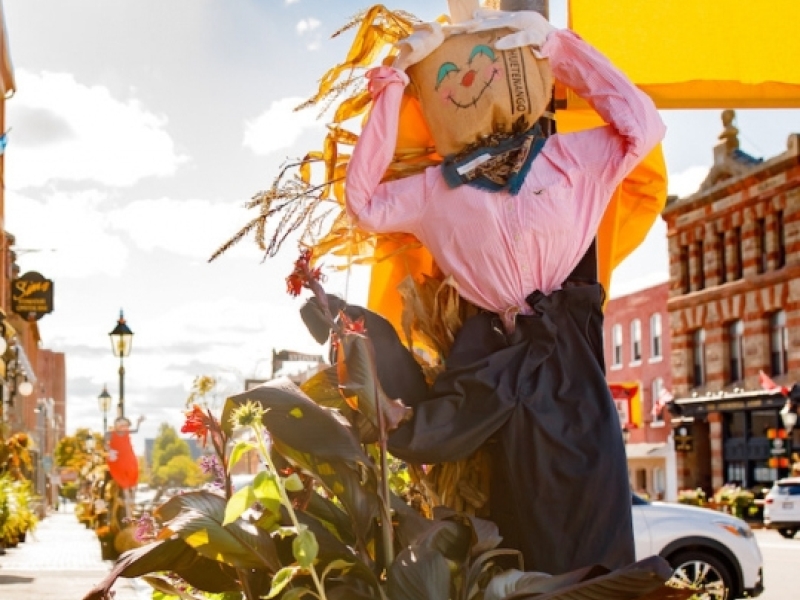 Scarecrow on lamp post in downtown Charlottetown