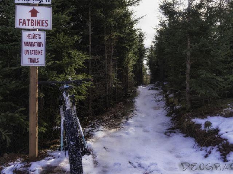 Fatbiking trail