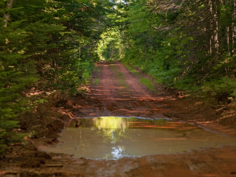 Hackeney Road
