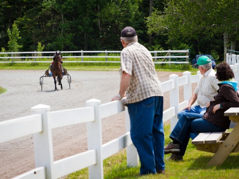 Pinette Harness Racing