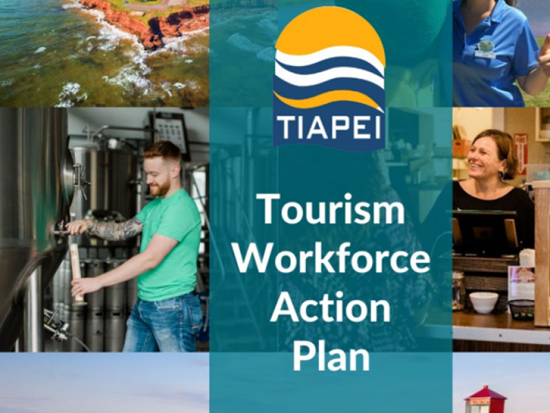 Cover of Tourism Workforce Action Plan with logos of TIAPEI and MDB Insight