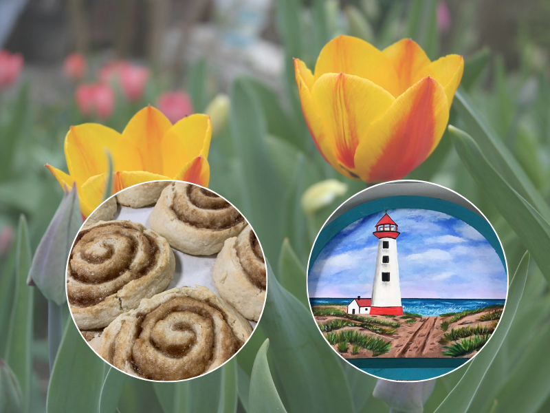Tulips in background with image of cinnamon rolls and lighthouse painting in foreground