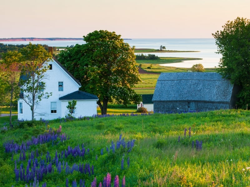 Tourist home in PEI