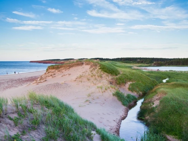 sand dunes 