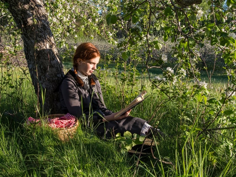 Anne of Green Gables, reading, grass