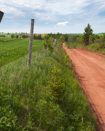 Warburton Scenic Road and field