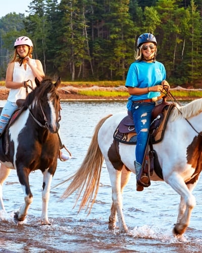 Brudenell Trail Rides, two horses