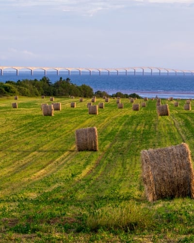 Confederation Bridge, field, hay, hay bales, sky