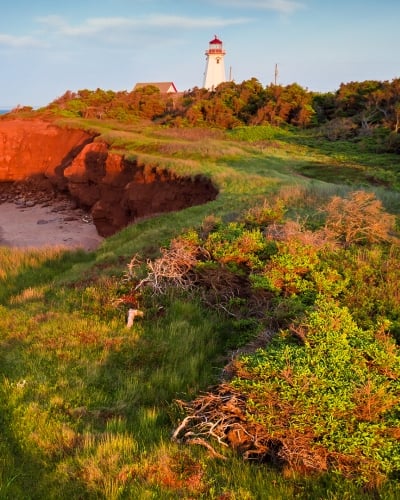 East Lake, lighthouse, birds-eye, ocean, beach, trees