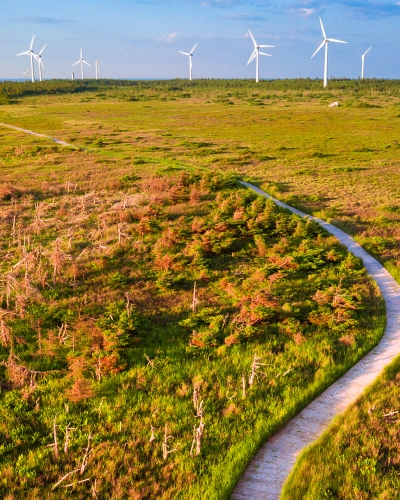 North Cape, wind turbines, road, cliffs, ocean 