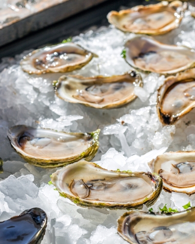 FallFlavours, lobster party, oysters, ice