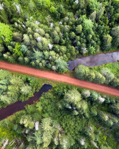 Confederation Trail, Fort Augustus, birds eye view, forest