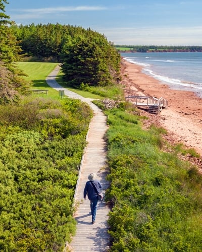 Sally's Beach, provincial park, beach, walking path