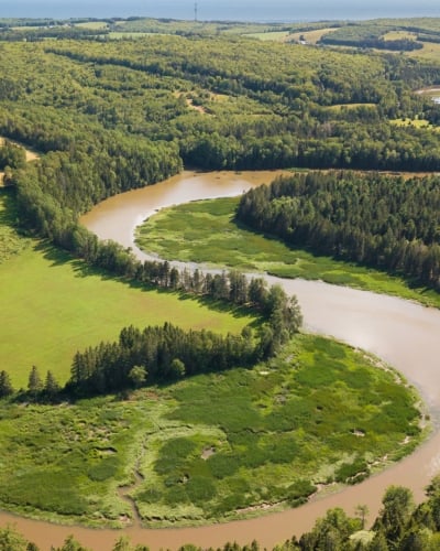 river, forest, Strathgartney