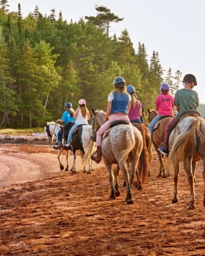 Brudenell Riding Stables, horses riding along Brudenell River