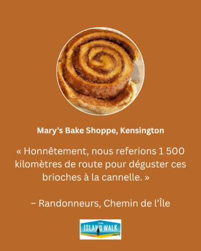 Graphic image of cinnamon roll with text « Honnêtement, nous referions 1 500 kilomètres de route pour déguster ces brioches à la cannelle. »  