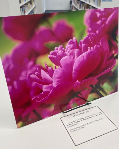 Image of photograph of peony with exhibit card at library