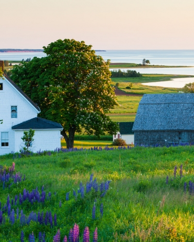 Tourist home in PEI