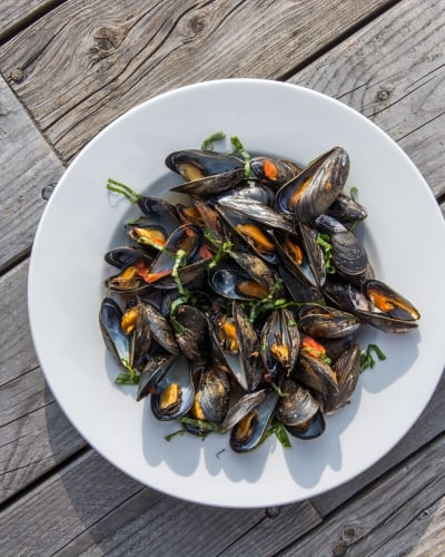 Lobster House, Mussels, plated