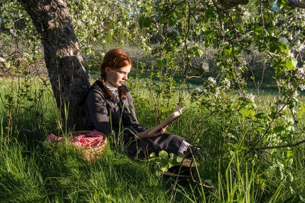 Exterior shot of Anne of Green Gables sitting in grass reading a book