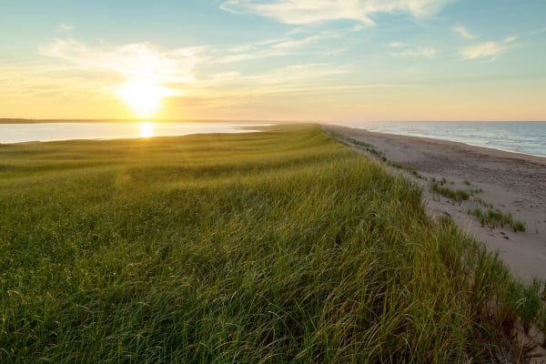 Millingans Warf, sunset